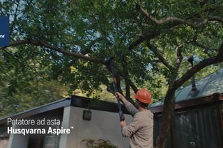 Aspire Pruner w Pole Hybrid 16x9 IT