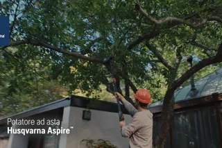 Aspire Pruner w Pole Hybrid 16x9 IT