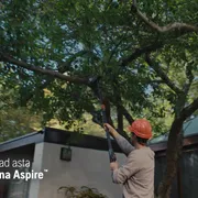 Aspire Pruner w Pole Hybrid 16x9 IT