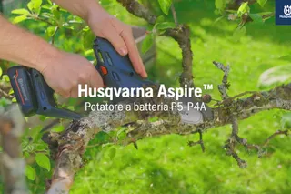 Features and how to use Aspire Pruner P5-P4A + with pole 73sec 16:9 IT
