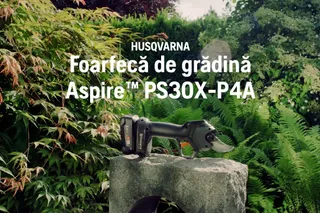 Beneficiu de funcționalitate Aspire Secateur PS30X-P4A RO