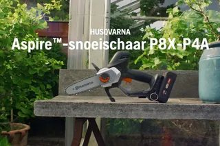 Voordeel van de functie: Aspire Pruner P8X-P4A_NL