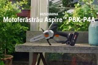 Beneficiu de funcționalitate Aspire Pruner P8X-P4A RO