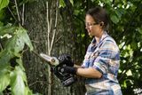 A person using a battery mini chainsaw to trim branches in a garden area.