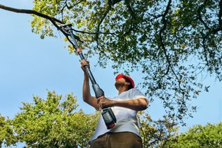 Osoba używająca piły na wysięgniku do przycinania gałęzi drzew w ogrodzie.