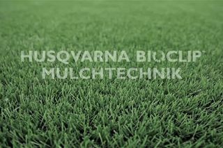 BioClip feature film 2m9s 16:9 DE