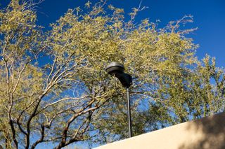 A GPS surveying device mounted on a pole against a backdrop of trees and clear blue sky.