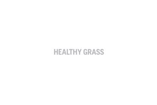 Automower Concept 2 - Healthy grass 55s 16:9 MASTER