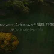 Savybės privalumai Aktyvūs ratų šepečiai LT