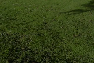 Funktion Utformad för drifttid och enkelt underhåll SE