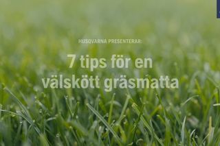 How to take care of your lawn 49s 16:9 SE