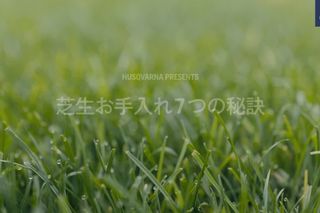 How to take care of your lawn 49s 16:9 JP