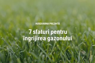 How to take care of your lawn 49s 16:9 RO