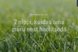 How to take care of your lawn 49s 16:9 EE