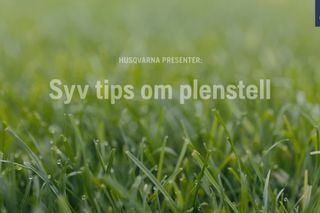 How to take care of your lawn 49s 16:9 NO