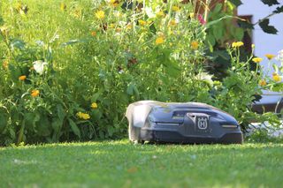 Robot tagliaerba in funzione in un giardino circondato da fiori vivaci.