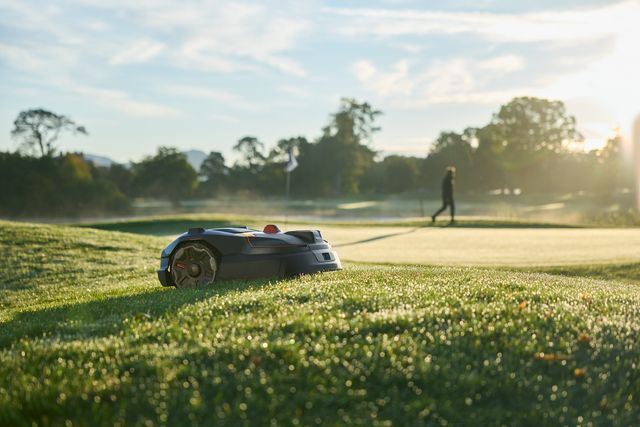 Kosiarka automatyczna pracująca na zroszonym polu golfowym wczesnym rankiem.
