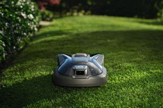 Robotic lawn mower operating on a well-maintained lawn in a garden setting.