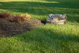 Robotic lawn mower operating on a well-maintained lawn near a flower bed.