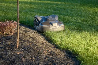 Robô corta-relva a funcionar ao longo da berma de um relvado de jardim.