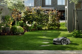 Robotmaaier die werkt in een goed onderhouden tuin met een pad en struiken.