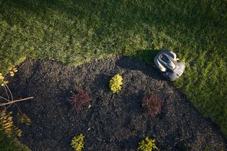 Robotic lawn mower operating on a grassy area with decorative plants.