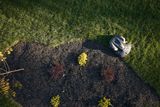 Robotic lawn mower operating on a grassy area with decorative plants.