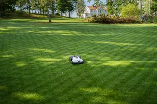 A well-maintained lawn in a garden setting with a house in the background.