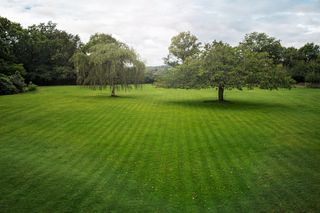 Une pelouse bien entretenue avec deux arbres sous un ciel nuageux.