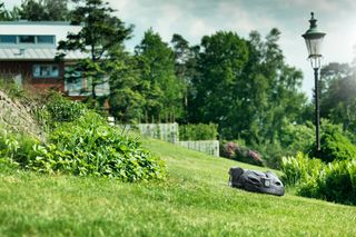 Robotgräsklippare som arbetar i en gräsbevuxen sluttning i en trädgårdsmiljö.