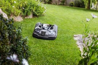 Robotic lawn mower operating in a garden with lush green grass.