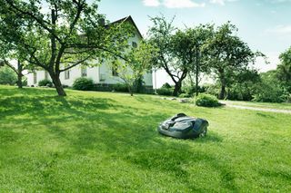 Robotizēts zāles pļāvējs, kas darbojas dārzā pie mājas.