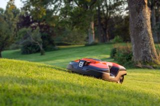 Robotic lawn mower operating on a grassy slope in a garden.