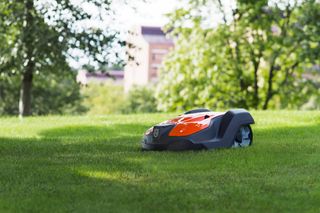 Robot tondeuse fonctionnant sur une pelouse herbeuse avec des arbres et des bâtiments en arrière-plan.