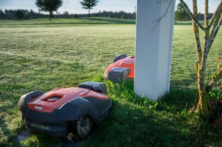 Deux tondeuses à gazon robotisées fonctionnent dans un jardin, l’une près d’un arbre et l’autre près d’un poteau.