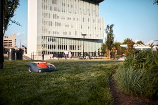 Robô corta-relva a funcionar numa área relvada num ambiente de parque urbano.