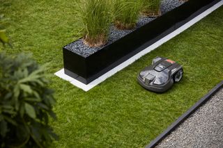 Robotizēts zāles pļāvējs, kas darbojas dārzā netālu no dekoratīvā stādītāja.