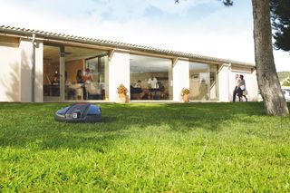 A robotic lawn mower operating on a grassy lawn in front of a modern building with people inside.