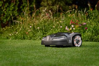 Robot tondeuse fonctionnant sur une pelouse bien entretenue avec des fleurs colorées en arrière-plan.