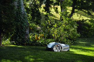 Mähroboter auf gepflegtem Rasen in einer Gartenumgebung.