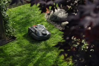 A robotic lawn mower operating on a well-maintained lawn, surrounded by garden plants.