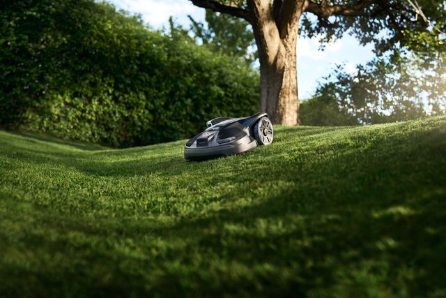 Mähroboter, der auf einem grasbewachsenen Hang in einem Garten betrieben wird.