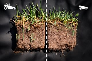 Coupe transversale de l’herbe et du sol, illustrant l’entretien de la pelouse avec les icônes de tondeuse et de robot tondeuse.