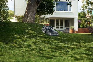 Robotic lawn mower operating on a grassy slope in a garden.
