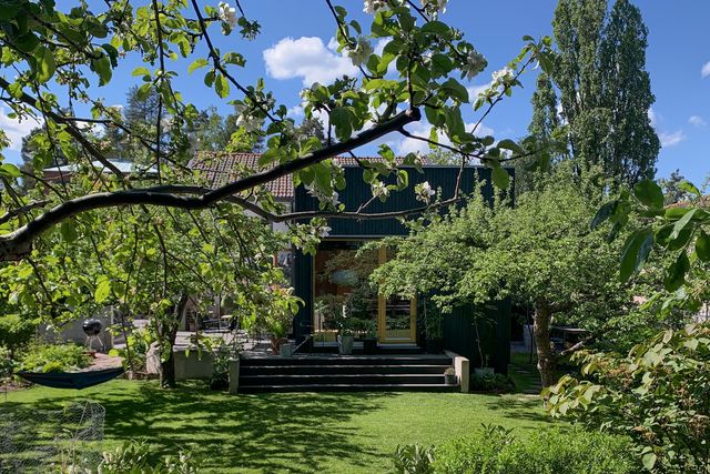 Buja kert fákkal és egy házzal a háttérben, nyugodt szabadtéri környezettel.