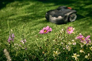 Robot tondeuse fonctionnant dans un jardin avec des fleurs colorées au premier plan.