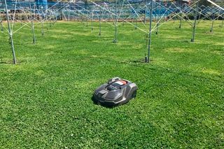 頭上に金属製の骨組みを備えた広い芝生の畑で動作するロボット芝刈り機。