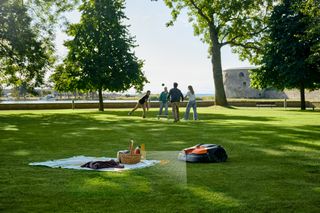 Een picknickopstelling op een grasveld met bomen op de achtergrond.