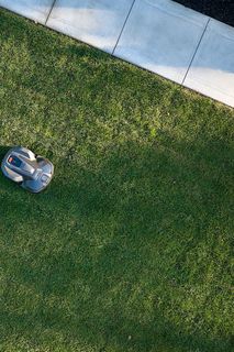 Robotic lawn mower operating on a neatly trimmed lawn beside a paved walkway.