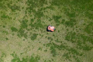 まだら模様になった芝生を移動するロボット芝刈機の上から下に向かって撮影した写真。